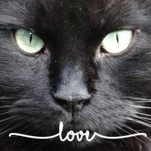 Meet your Posher, Linda a.